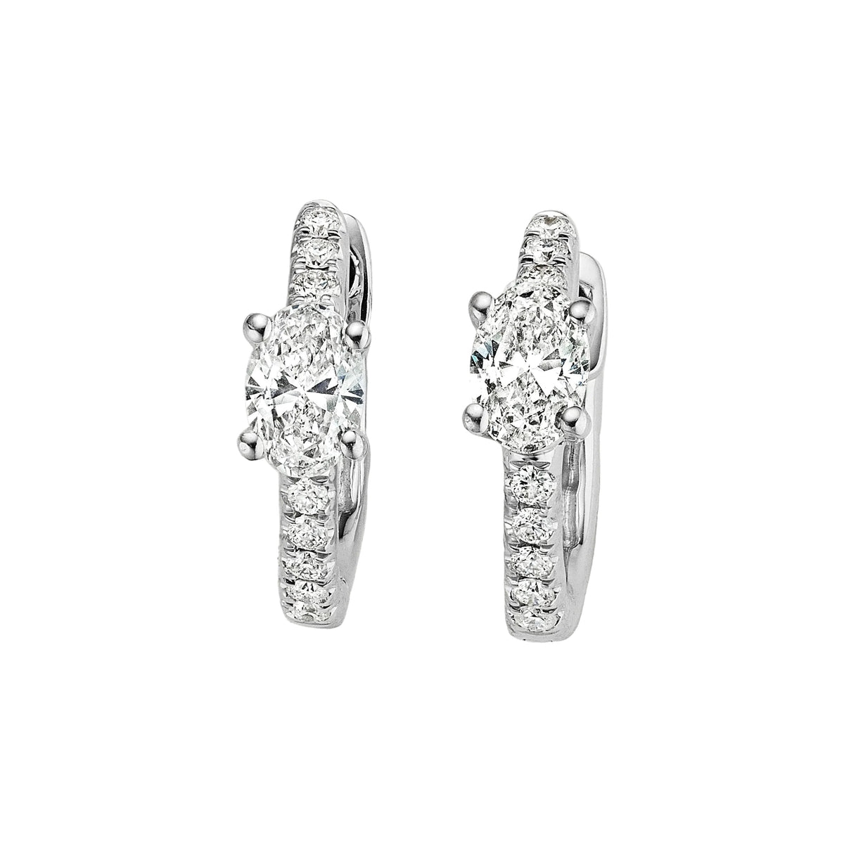 Oval diamond pavé huggies in 14k white gold